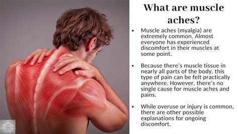 What You Need To Know About Muscle Aches And Pains Muscle Pain