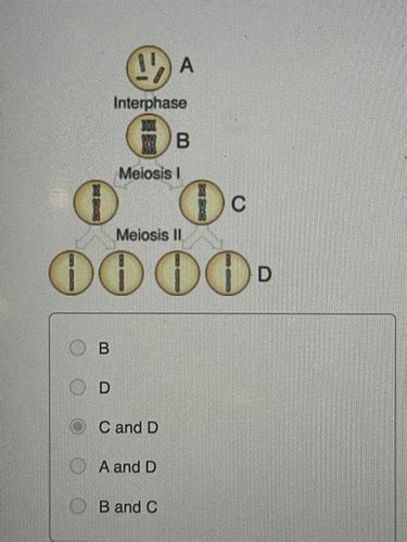 Mastering Biology 10 Flashcards Quizlet