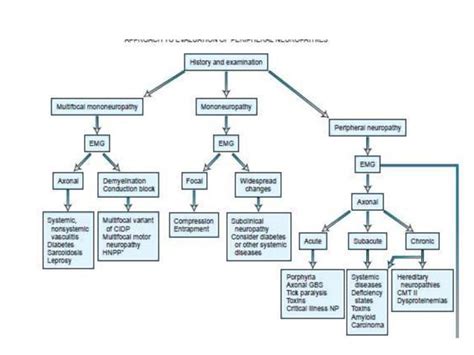 Approach To Polyneuropathy Ppt