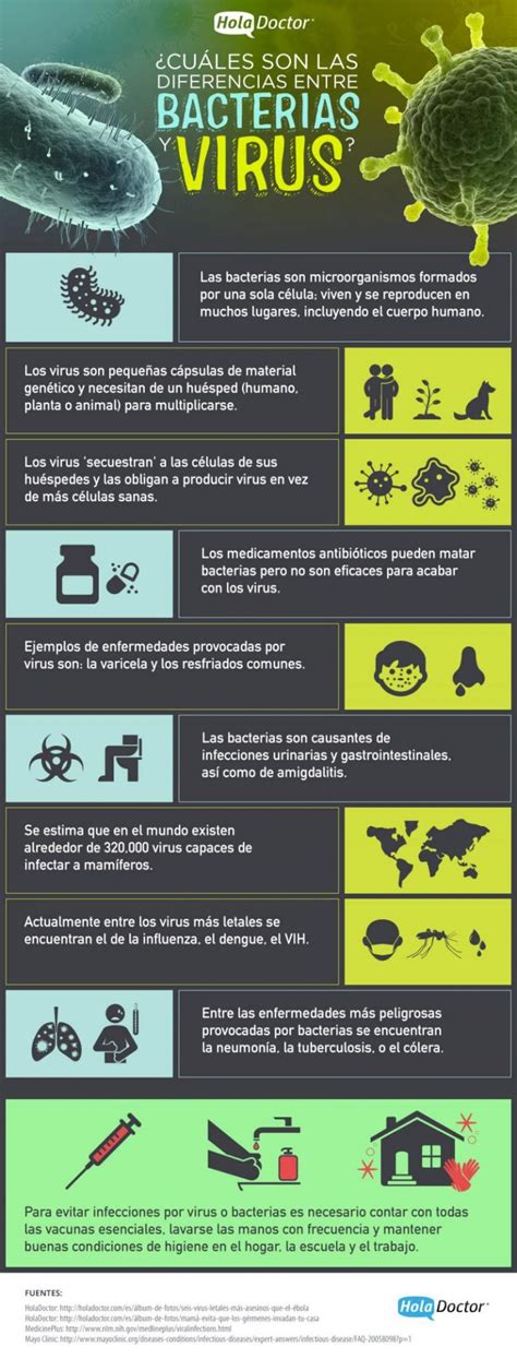 ¿cuales Son Las Diferencias Entre Bacterias Y Virus Invdes