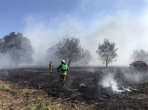 Incendiu Puternic In Sudul Tarii Peste De Hectare De Vegetatie Au