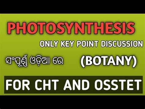 Photosynthesis Botany OSSTET And CHT Botany Class In Odia