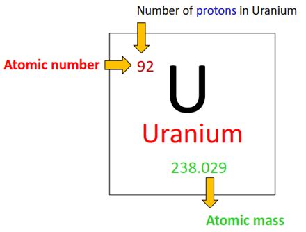 Uranium Bohr Model How To Draw Bohr Diagram For Uranium U