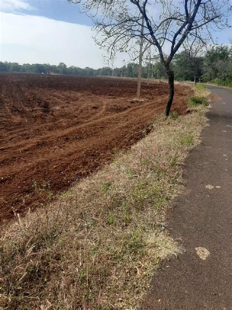 Agricultural Land 20 Acre For Sale In Chincholi Gulbarga REI1102591