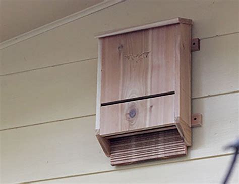 18 Free Diy Bat Box Plans You Can Make Today With Pictures House Grail