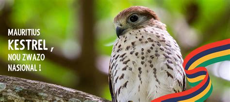 Mauritian Wildlife Foundation