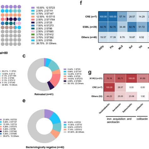 Sequence Type Distribution And Resistance And Virulence Profiles A Download Scientific