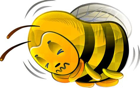 Bee Stickers Icon Set Png Png Logo Vector Brand Downloads Svg Eps