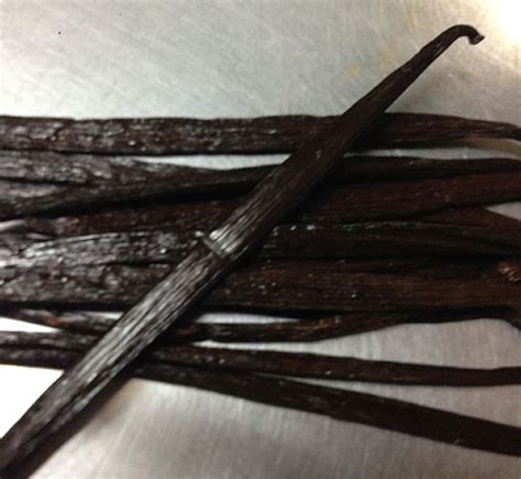 Buy Organic Vanilla Beans - Organics, Vanilla @ Micks Nuts