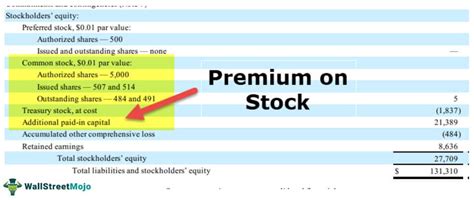 Premium On Stock What Is It Example And Accounting