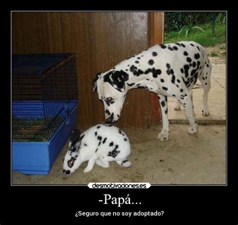 Imágenes y Carteles de VAGINA Pag 6 Desmotivaciones