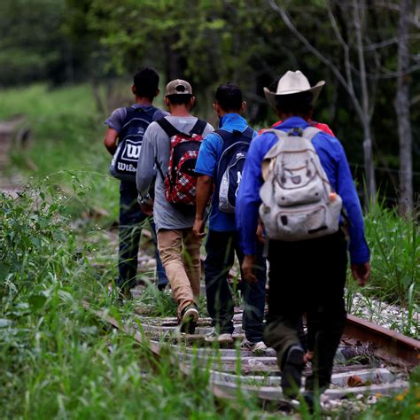 Relator Especial Sobre Los Derechos Humanos De Los Migrantes Ohchr