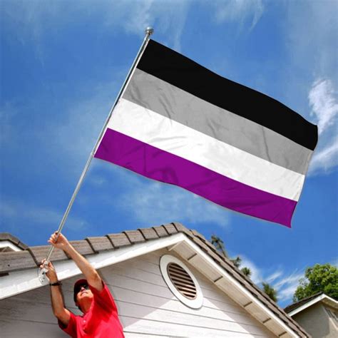 Asexuality Pride Flag Banner