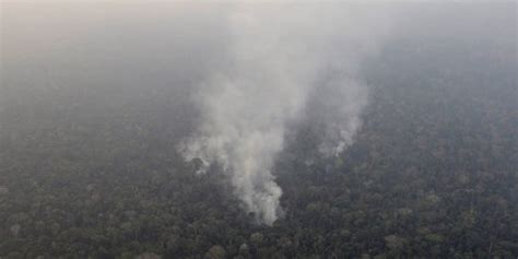 Hektare Area Di Taman Nasional Bukit Tigapuluh Terbakar Merdeka