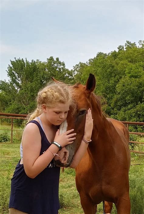 Reader Photo Challenge Horse Snuggles Horse Nation