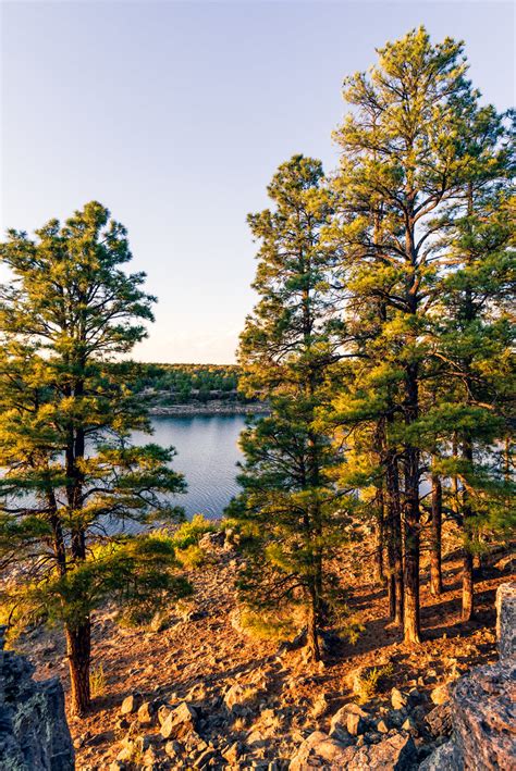 DSC 7760 Edit Fools Hollow Lake Show Low AZ Philipp Konerding