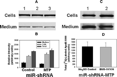 Rnai Mediated Total Silencing Of Mttp Gene Expression Has No Effect On