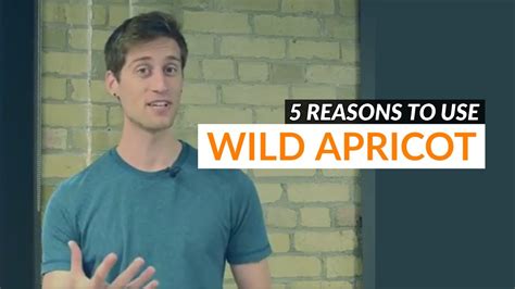 5 Reasons Wild Apricot Is The 1 Nonprofit Software Youtube