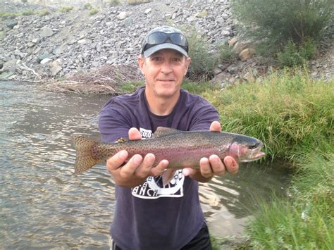 Scott Hopper S Blog Truckee River Trout Fishing September