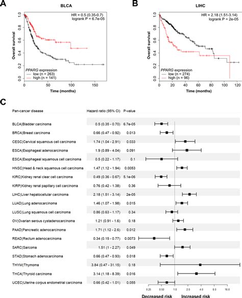 Gene Expression Of The Pparg Nuclear Receptor Is Significantly