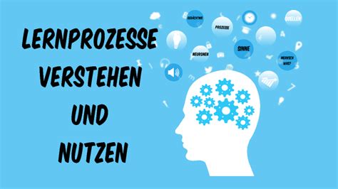 Lernprozesse Verstehen Und Nutzen By Chris Rohleder On Prezi