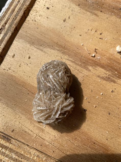 Scppeanut The Mysterious Edible Enigma Thats Sparking Controversy And Intrigue