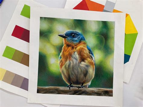 Colored Pencil Bird Drawing ️ Art Amino