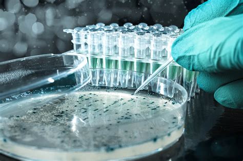 What is Cloning? | Pitara Kids Network