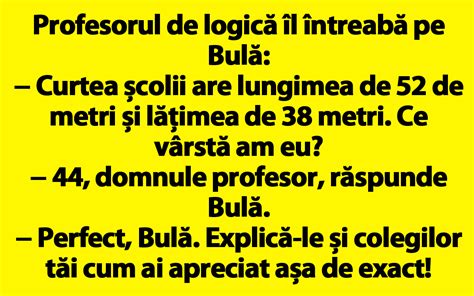 Banc Profesorul De Logic L Ntreab Pe Bul Curtea Colii Are