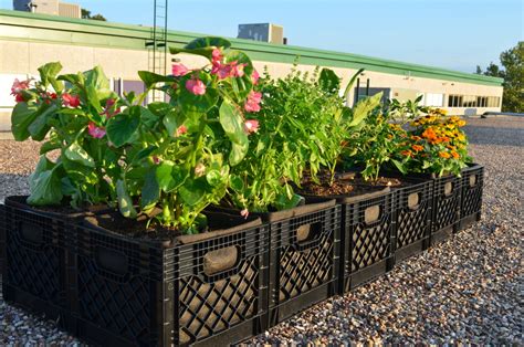 How To Make A Milk Crate Garden Planter Diy Gardening Better Living