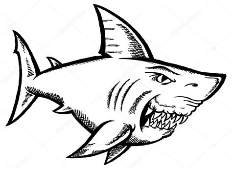 Great white shark Stock Vector Image by ©scotferdon #59360899