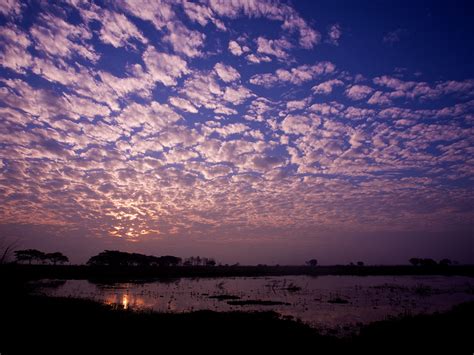 arj muñoz | travel photography | Travel Photography: Bird Sanctuary Wetlands - Candaba, Pampanga