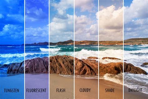 What Is Color Balance in Photography and Image Processing? | Color Meanings