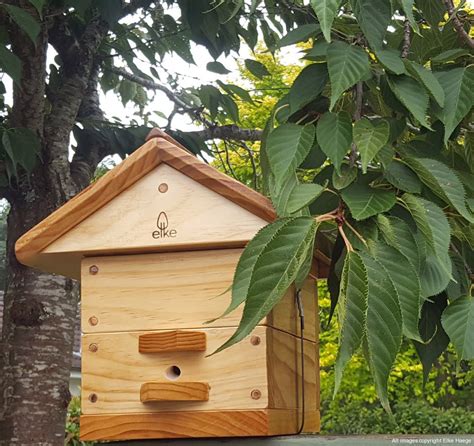 Elke Native Stingless Bees Sydney B Elke Haege Landscape Architecture