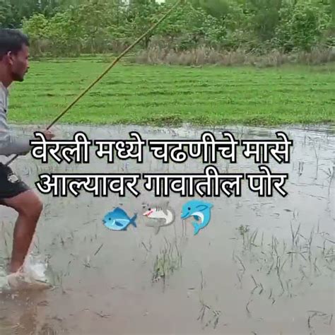 चढणीचे मासे 🐟🦈🐬 Youtube