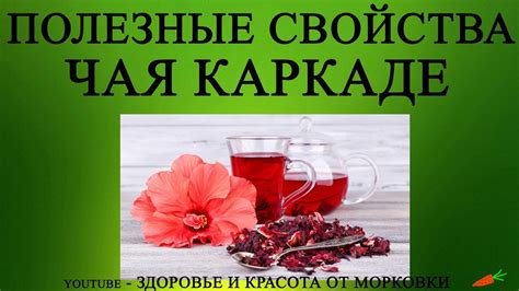 ПОЛЕЗНЫЕ СВОЙСТВА ЭТОГО ЧУДО-ЧАЯ - YouTube