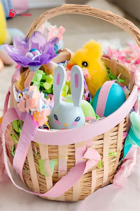 5 Irresistible Cat Easter Basket Ideas Your Kitty Will Love Petpress