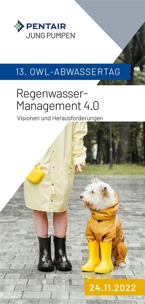 Regenwasser Management 40 Jung Pumpen