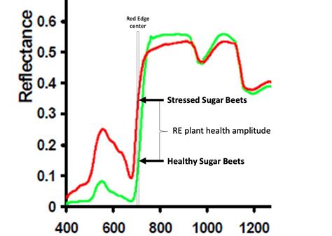 Red Edge detects vegetative stress earlier in plant growth cycle · UP42