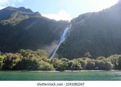 824 Milford Sound Wildlife Images, Stock Photos & Vectors | Shutterstock