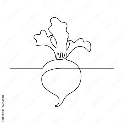 Simple Beetroot Design In Continuous Line Art Drawing Style Growing