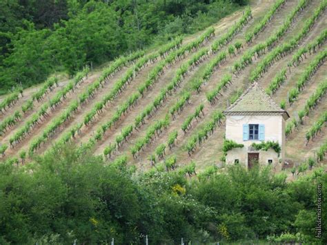 Les cabanons de vigne 2 Balade à Châtillon en Diois dans la Drôme