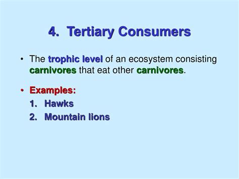 Community Ecology Ppt Download