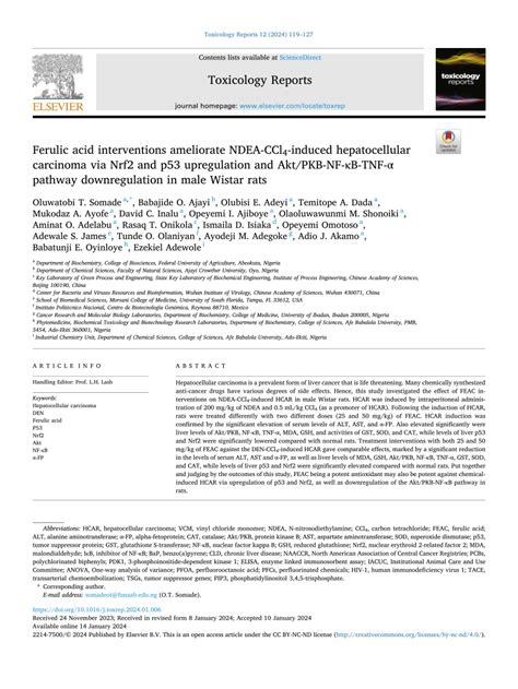 PDF Ferulic Acid Interventions Ameliorate NDEA CCl 4 Induced