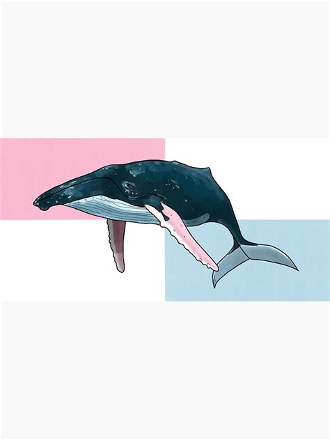 Transgender Whale Trans Pride Flag Art Print For Sale By