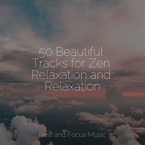 50 Beautiful Tracks For Zen Relaxation And Relaxation Album By Musica