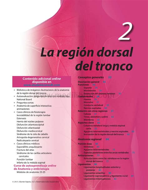 Gray Anatomia Para Estudiantes Capitulo La Regi N Dorsal Del Tronco