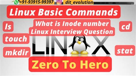 Linux Basics Commands Ls Pwd Stat Cd Mkdir Commands And What Is