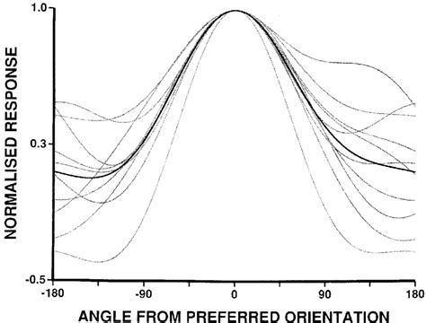 Tuning Curves For Cells Sensitive To Body Orientation Normalised