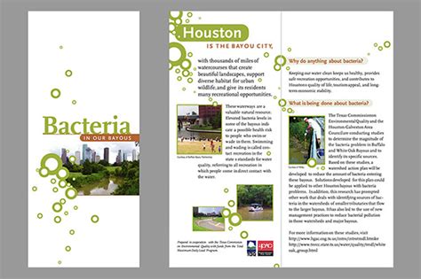 Hgac Bacteria Brochure On Behance